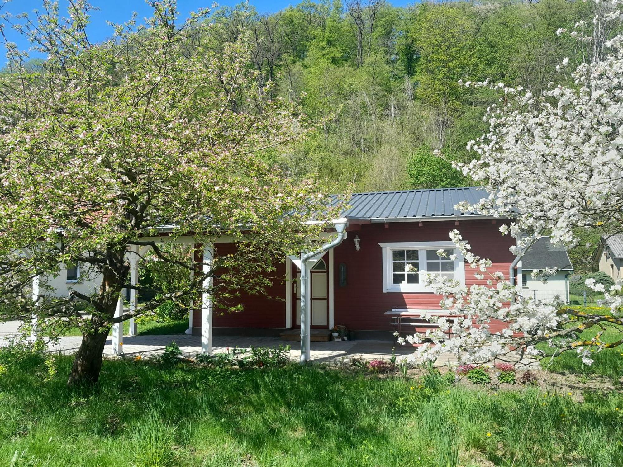 Ferienhaus Am Wald Wippra Eksteriør bilde